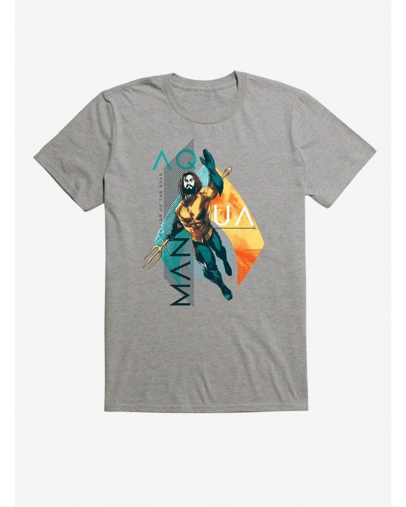 DC Comics Aquaman and Logo T-Shirt $9.18 T-Shirts